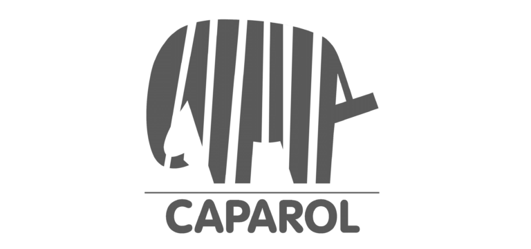 Лого Caparol