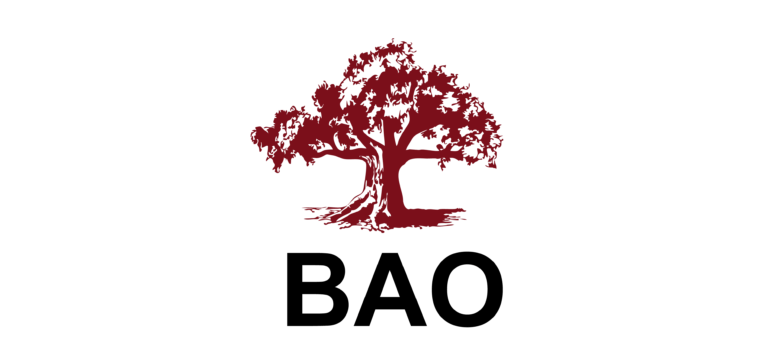 Лого BAO
